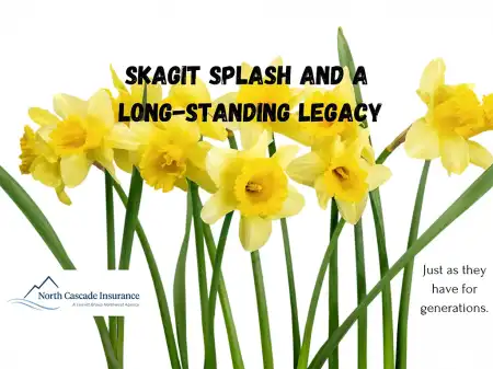 Skagit Splash and a Long-Standing Legacy